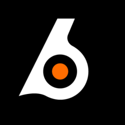 Birdeye