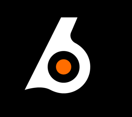 Birdeye