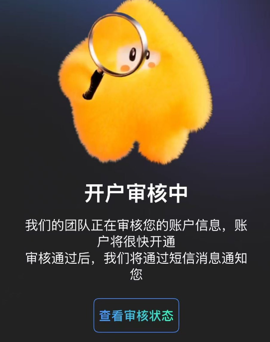 等待审核